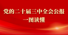 黨的二十屆三中(zhōng)全會公(gōng)報一圖讀懂